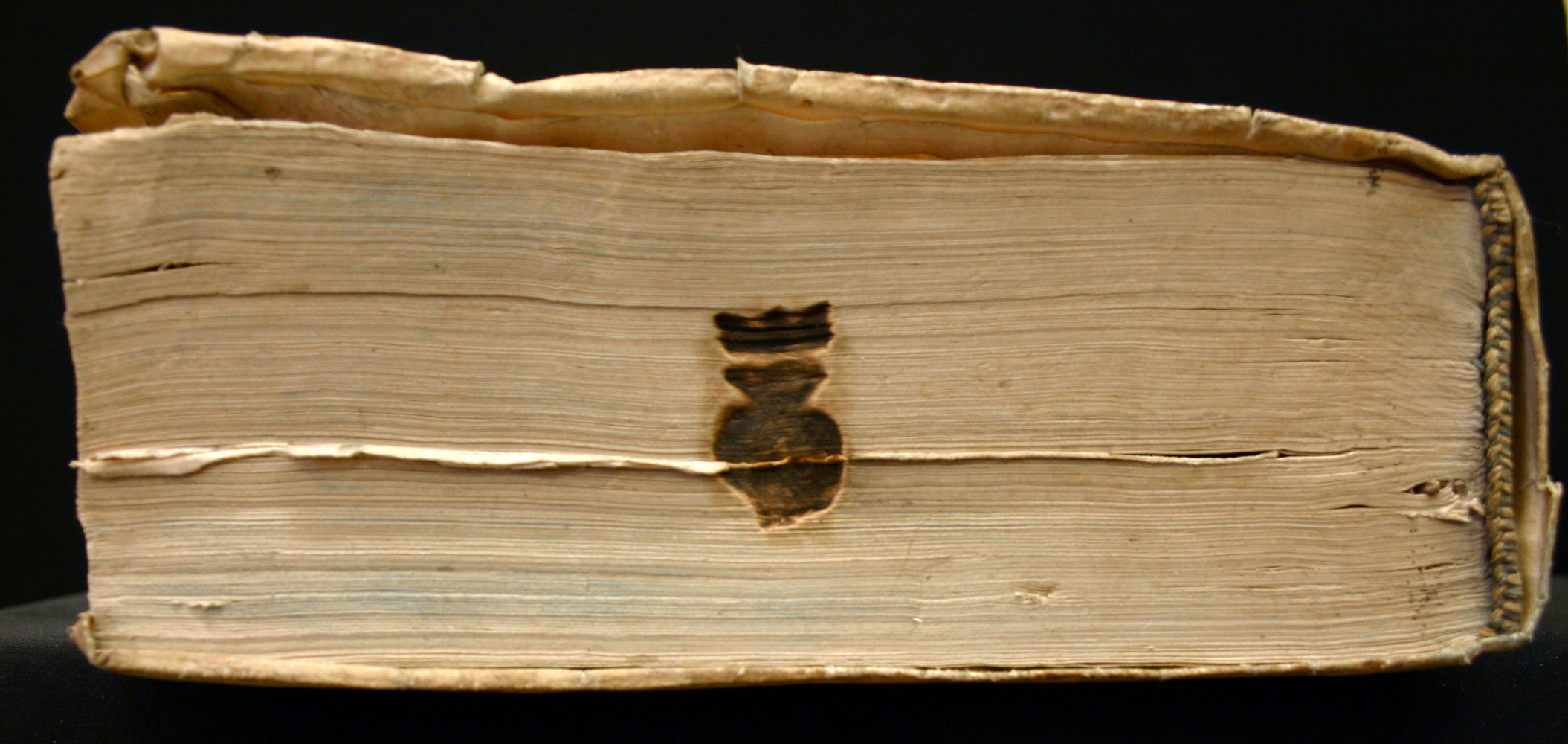 CB 57638 canto.jpg